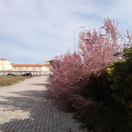 Casa Nel Parco Sulla Spiaggia Pise Extérieur photo