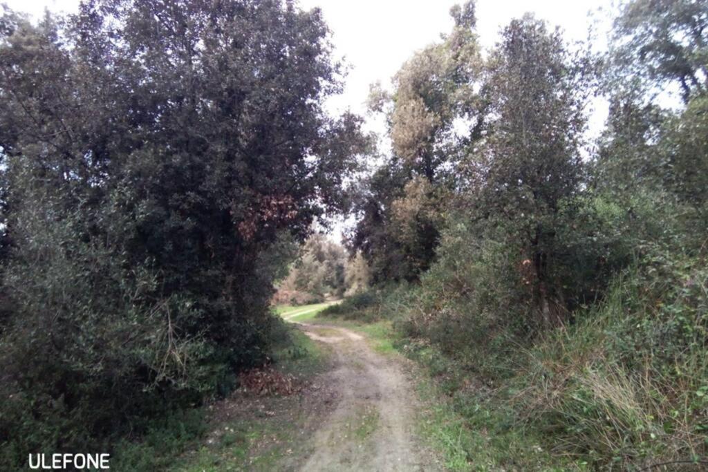 Casa Nel Parco Sulla Spiaggia Pise Extérieur photo