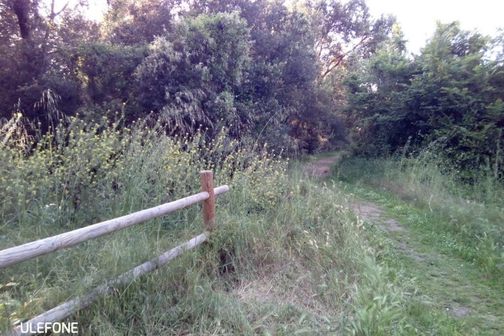 Casa Nel Parco Sulla Spiaggia Pise Extérieur photo