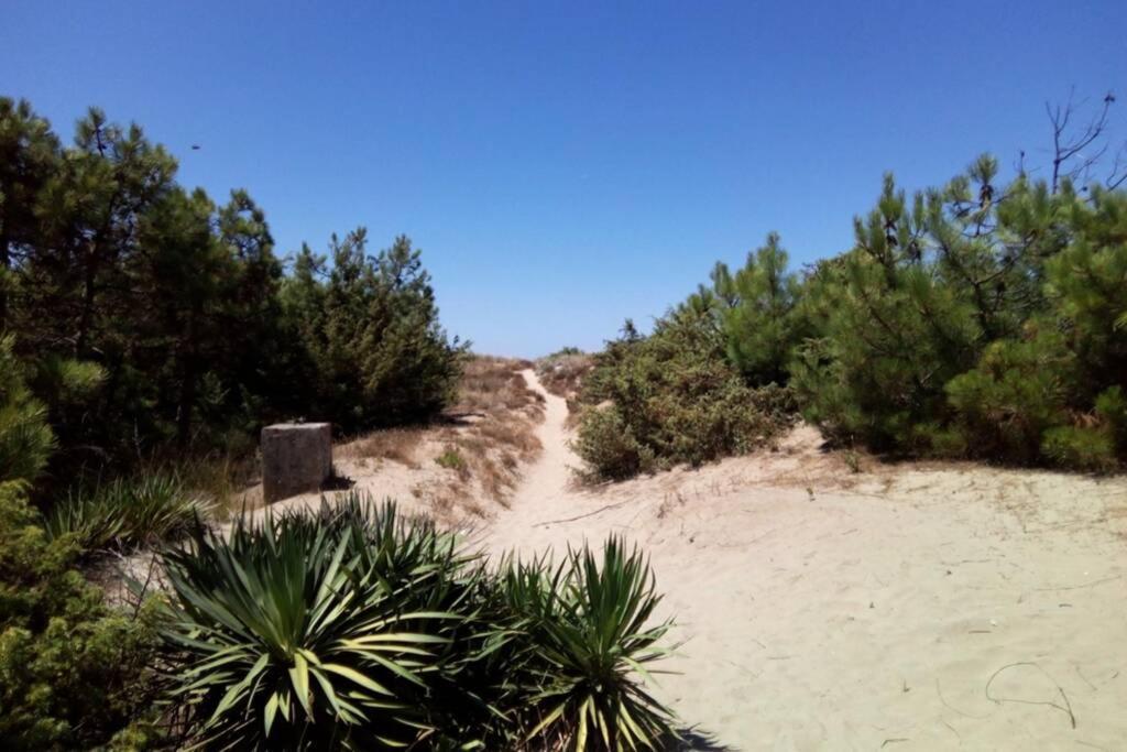 Casa Nel Parco Sulla Spiaggia Pise Extérieur photo