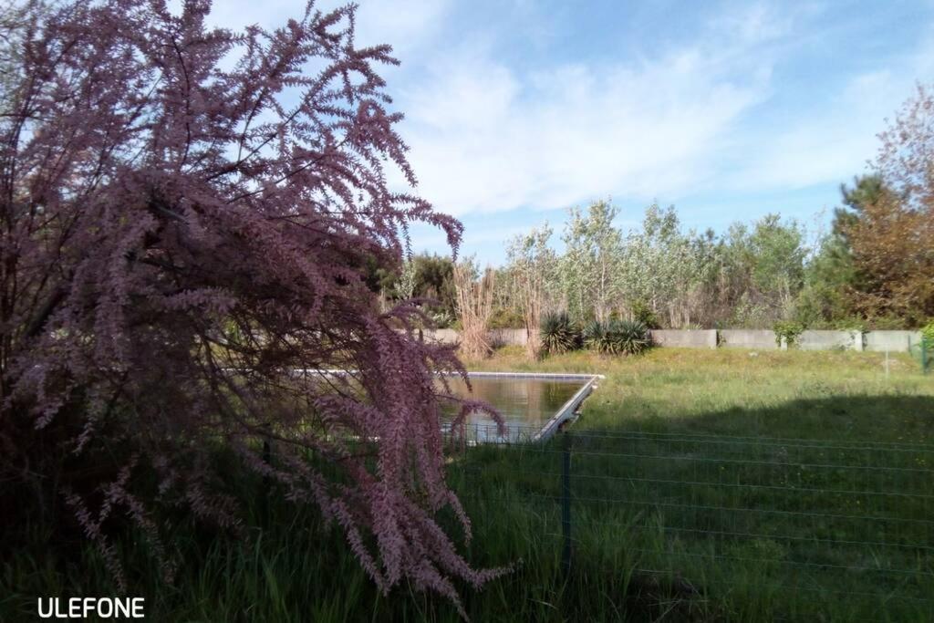 Casa Nel Parco Sulla Spiaggia Pise Extérieur photo