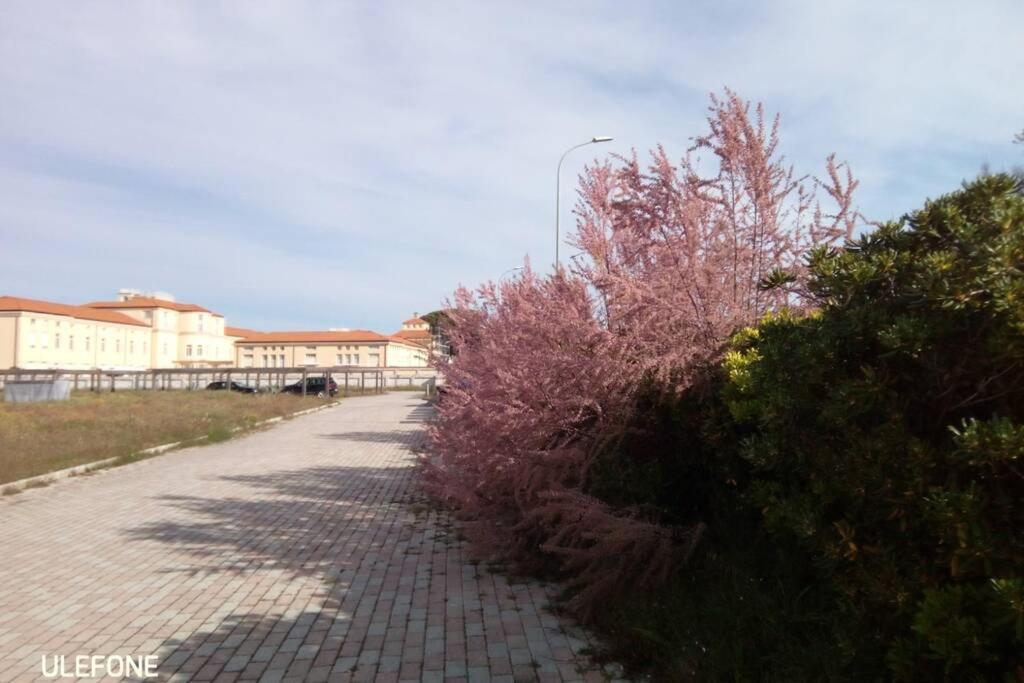 Casa Nel Parco Sulla Spiaggia Pise Extérieur photo