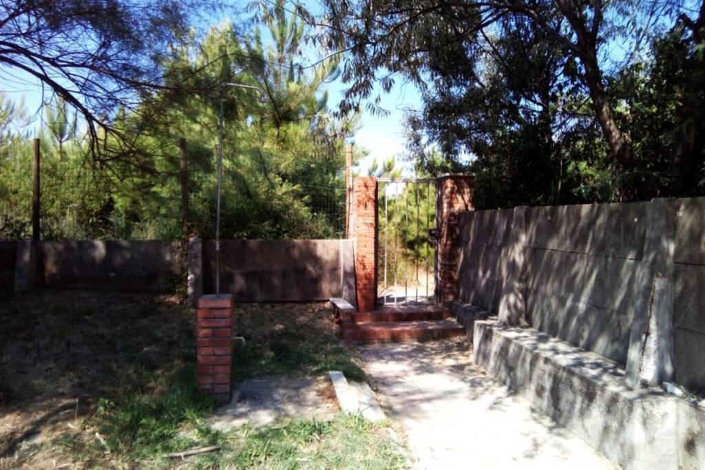 Casa Nel Parco Sulla Spiaggia Pise Extérieur photo